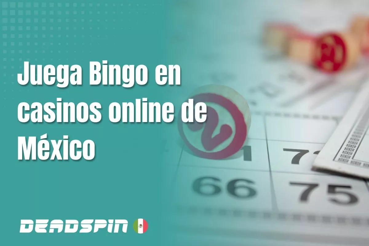 Bingo online en México: opciones y dónde jugar