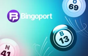 Bingoport Review: In-Depth Assessment of What to Expect At Bingoport