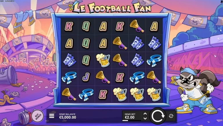 le football fan