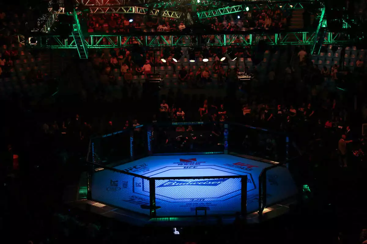 UFC ring