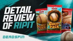 Ripit Review: Detail Review of Ripit In 2026