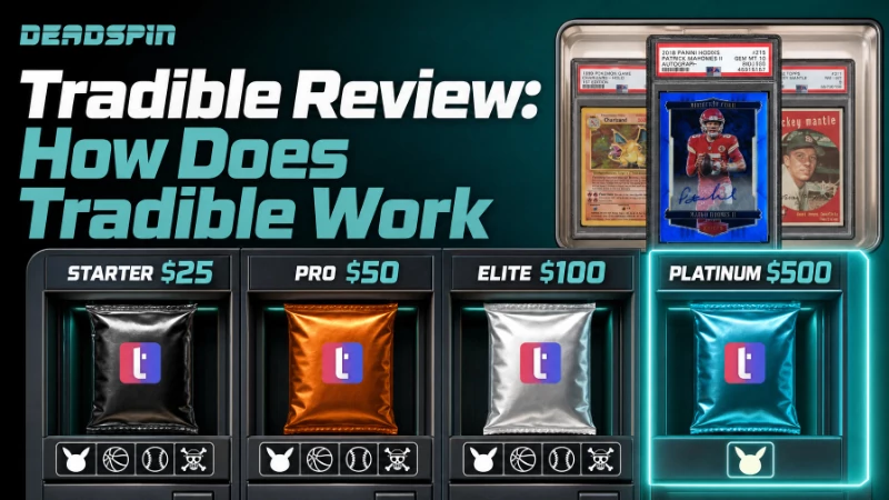 Tradible Review: How Does Tradible Work In 2026?