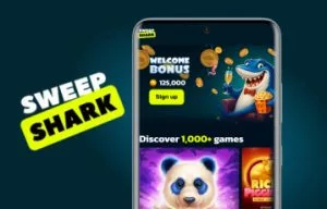 SweepShark App Review: How Does SweepShark Compare on Mobile?