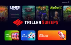 Triller Review: Detailed Rating of What to Expect From Triller