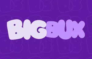 BigBux Review: Learn What BigBux Is All About in 2026