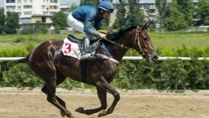 Las mejores apuestas a carreras de caballos