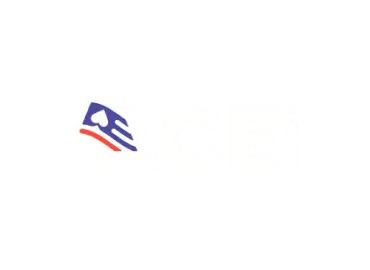 Ace.com