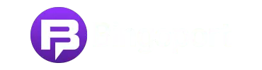 BingoPort
