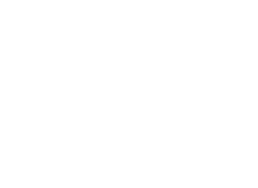 Punt